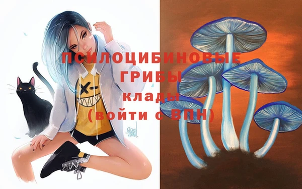 ALPHA PVP Балахна