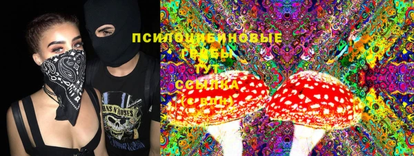 винт Аркадак