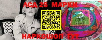 гидропоника Краснознаменск