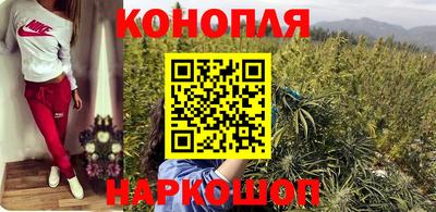 гидропоника Краснознаменск