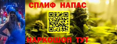 гидропоника Краснознаменск