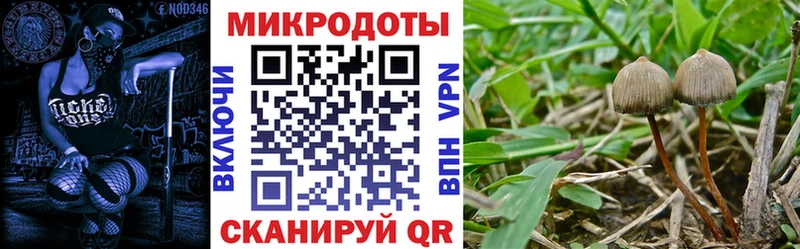 Галлюциногенные грибы MAGIC MUSHROOMS  нарко площадка клад  Зима 