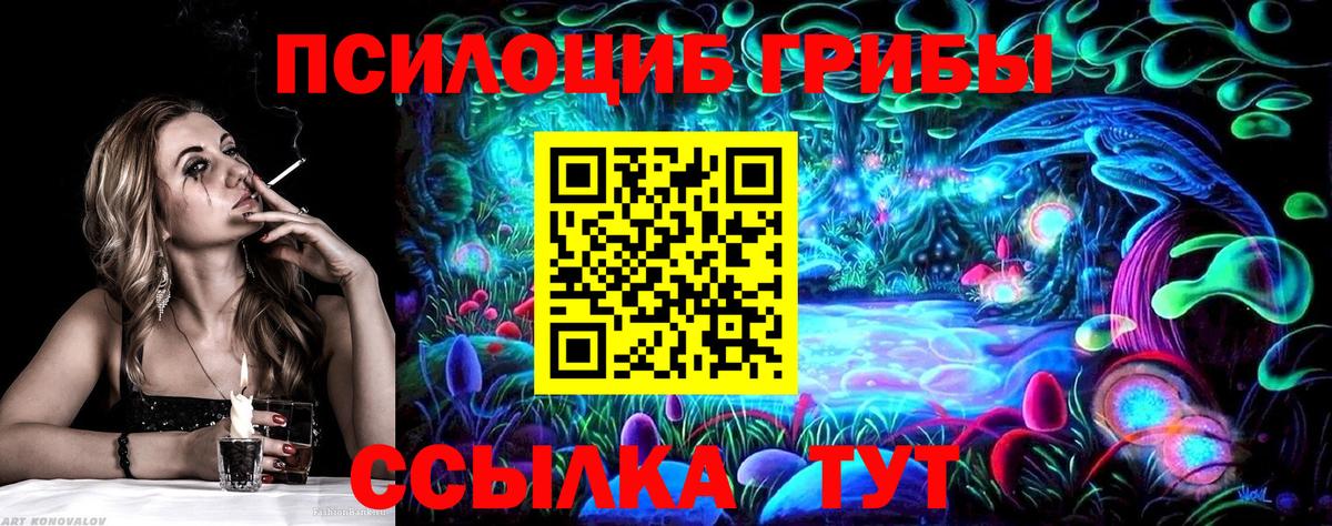 Псилоцибиновые грибы Cubensis  Вход с VPN  Галлюциногенные грибы Cubensis  Зима 