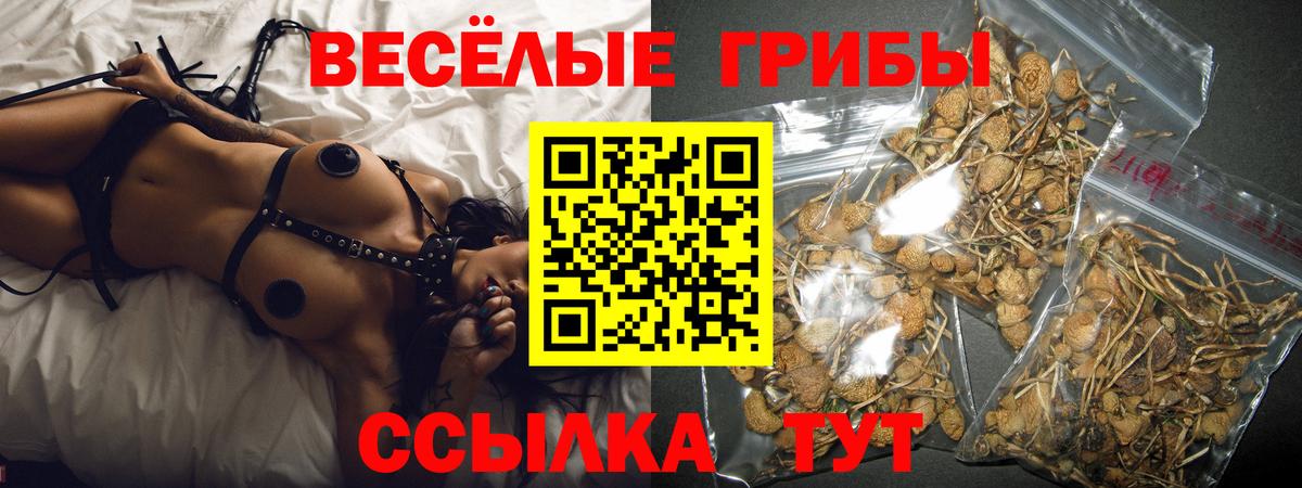 Галлюциногенные грибы ЛСД Зима